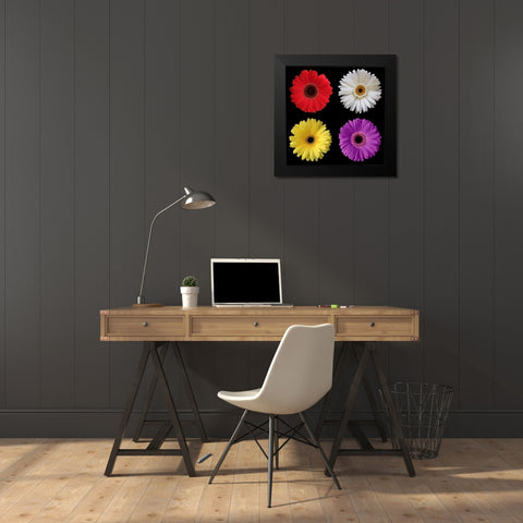 Gerber Group 2 Black Modern Wood Framed Art Print by Christensen, Jim