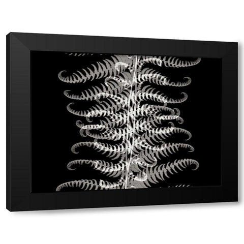 Ferns I Black Modern Wood Framed Art Print by Christensen, Jim
