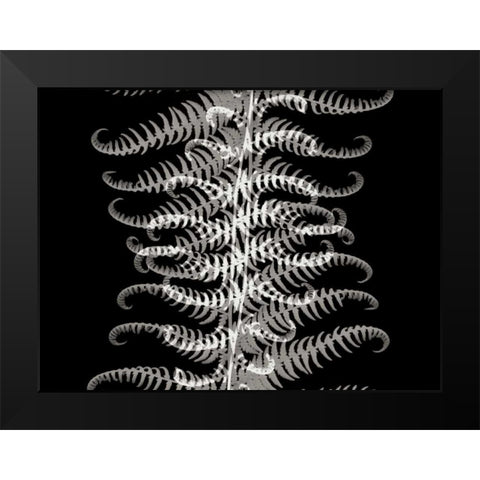 Ferns I Black Modern Wood Framed Art Print by Christensen, Jim