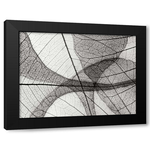 Leaf Designs I BW Black Modern Wood Framed Art Print by Christensen, Jim