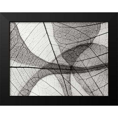 Leaf Designs I BW Black Modern Wood Framed Art Print by Christensen, Jim