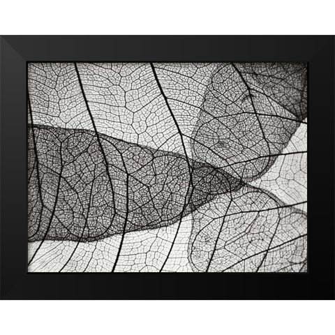 Leaf Designs II BW Black Modern Wood Framed Art Print by Christensen, Jim