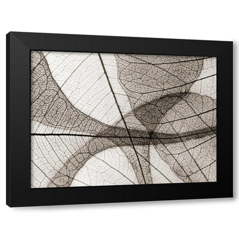 Leaf Designs I Sepia Black Modern Wood Framed Art Print by Christensen, Jim
