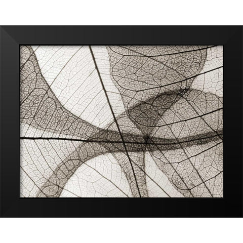 Leaf Designs I Sepia Black Modern Wood Framed Art Print by Christensen, Jim