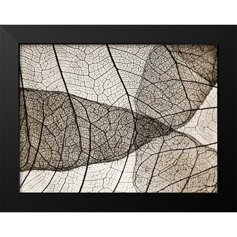 Leaf Designs II Sepia Black Modern Wood Framed Art Print by Christensen, Jim