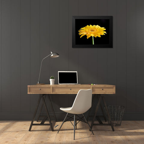 Gerber Angle VI Black Modern Wood Framed Art Print by Christensen, Jim