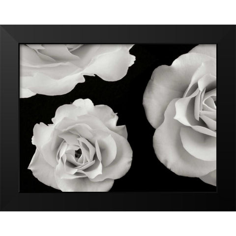 Trio II Black Modern Wood Framed Art Print by Christensen, Jim
