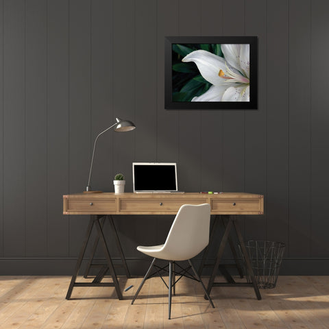 Macro Lily Black Modern Wood Framed Art Print by Christensen, Jim