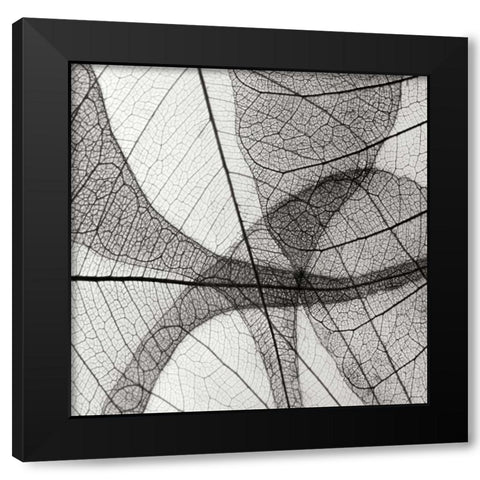 Leaf Designs III BW Black Modern Wood Framed Art Print by Christensen, Jim