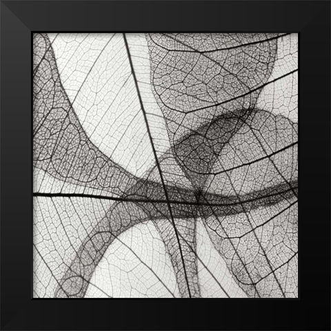 Leaf Designs III BW Black Modern Wood Framed Art Print by Christensen, Jim