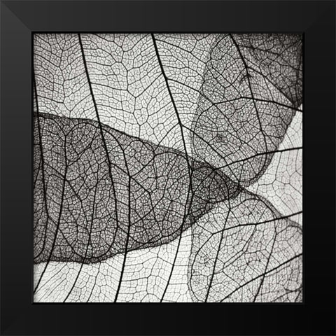 Leaf Designs IV BW Black Modern Wood Framed Art Print by Christensen, Jim