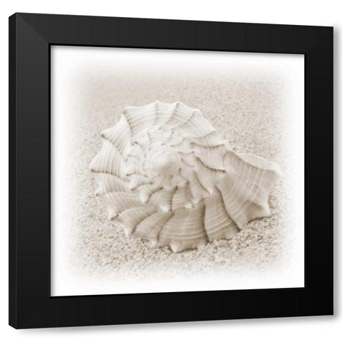 In the Sand I Black Modern Wood Framed Art Print by Christensen, Jim