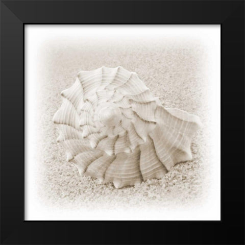 In the Sand I Black Modern Wood Framed Art Print by Christensen, Jim