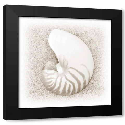 In the Sand III Black Modern Wood Framed Art Print by Christensen, Jim