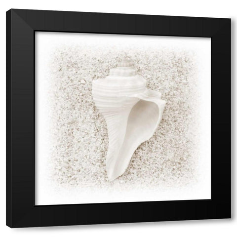 In the Sand IV Black Modern Wood Framed Art Print by Christensen, Jim