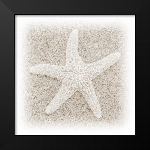In the Sand V Black Modern Wood Framed Art Print by Christensen, Jim