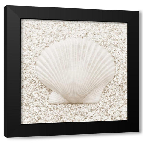In the Sand VI Black Modern Wood Framed Art Print by Christensen, Jim