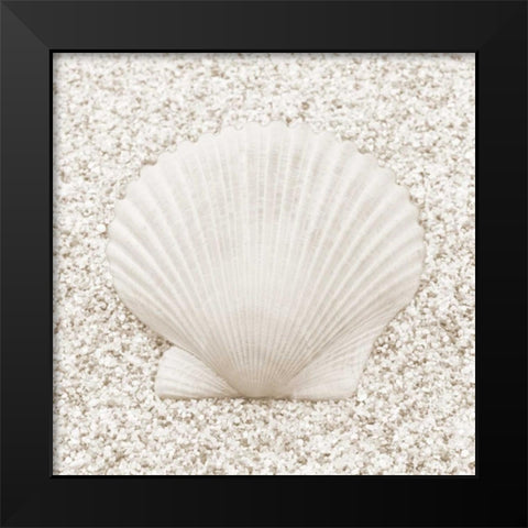 In the Sand VI Black Modern Wood Framed Art Print by Christensen, Jim