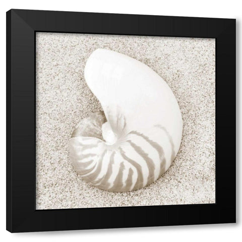 In the Sand VII Black Modern Wood Framed Art Print by Christensen, Jim