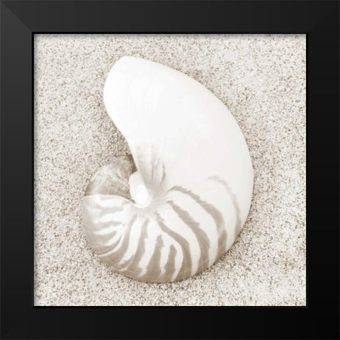 In the Sand VII Black Modern Wood Framed Art Print by Christensen, Jim