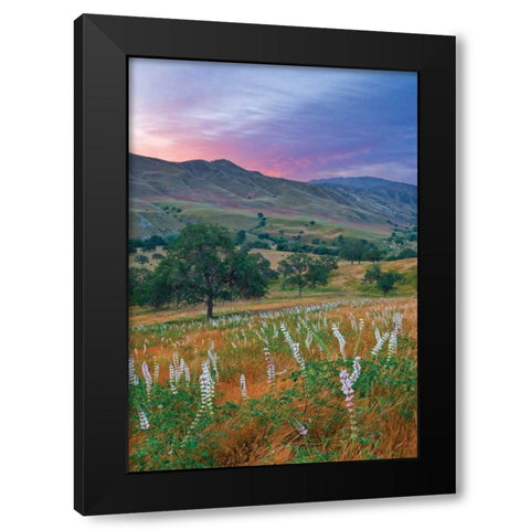 Caliente Bodfish II Black Modern Wood Framed Art Print with Double Matting by Geistweite, Mark