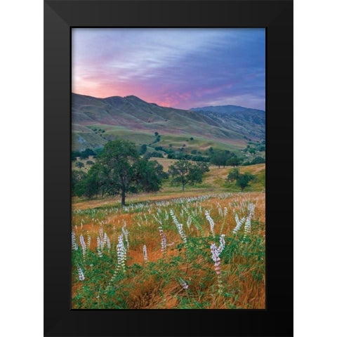 Caliente Bodfish II Black Modern Wood Framed Art Print by Geistweite, Mark