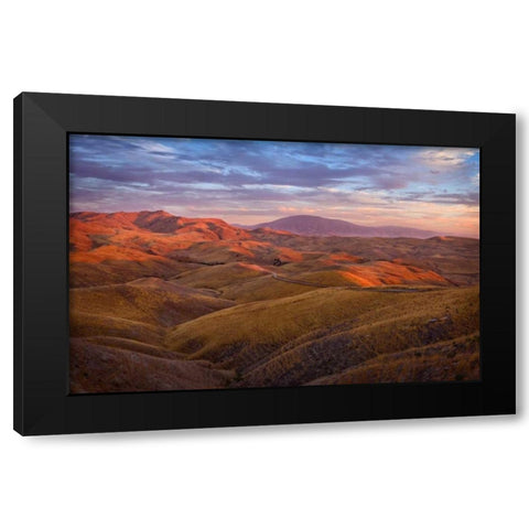 Parched Palette Black Modern Wood Framed Art Print with Double Matting by Geistweite, Mark