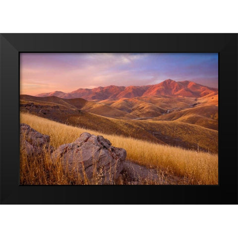 Summer Autumn Black Modern Wood Framed Art Print by Geistweite, Mark
