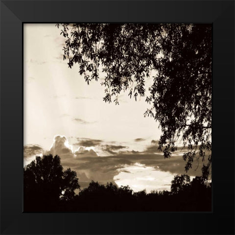 Sunset Trees Sepia Sq I Black Modern Wood Framed Art Print by Hausenflock, Alan