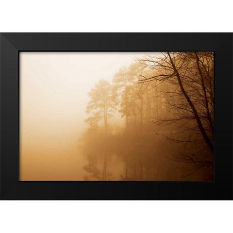 Fog on Shelly Lake I Black Modern Wood Framed Art Print by Hausenflock, Alan