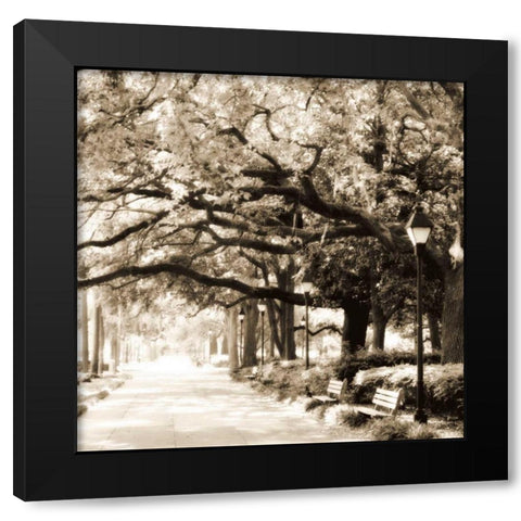 Savannah Sepia Sq I Black Modern Wood Framed Art Print by Hausenflock, Alan