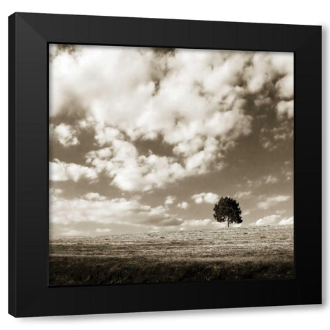Cloudy Skies Sq I Black Modern Wood Framed Art Print by Hausenflock, Alan