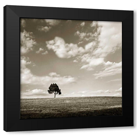 Cloudy Skies Sq III Black Modern Wood Framed Art Print by Hausenflock, Alan