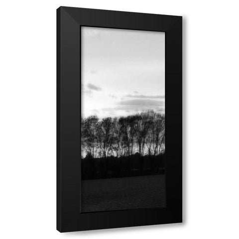 Winter Sunset BW IV Black Modern Wood Framed Art Print by Hausenflock, Alan