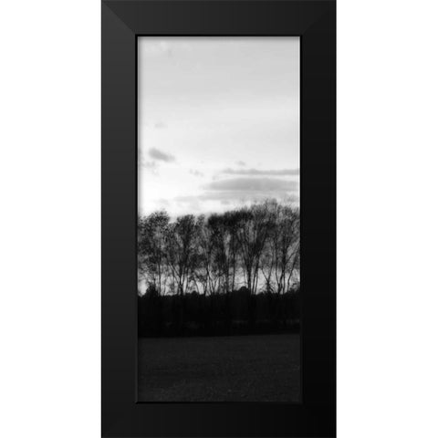 Winter Sunset BW IV Black Modern Wood Framed Art Print by Hausenflock, Alan
