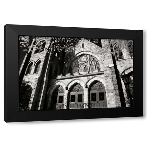 Stately Gothic I Black Modern Wood Framed Art Print by Hausenflock, Alan