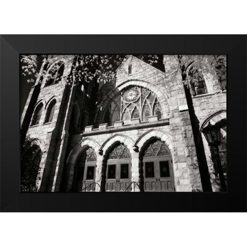 Stately Gothic I Black Modern Wood Framed Art Print by Hausenflock, Alan