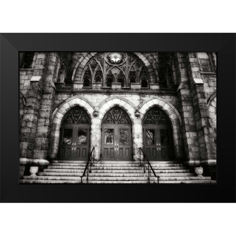 Stately Gothic III Black Modern Wood Framed Art Print by Hausenflock, Alan
