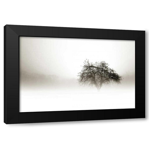 In the Mist I Black Modern Wood Framed Art Print by Hausenflock, Alan