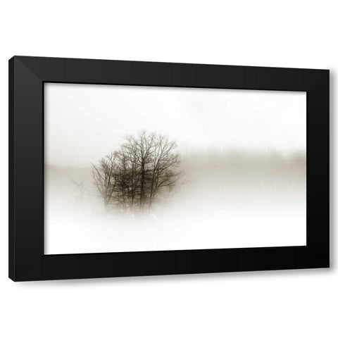 In the Mist II Black Modern Wood Framed Art Print by Hausenflock, Alan