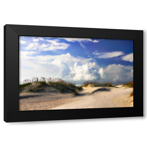 Summer Dunes I Black Modern Wood Framed Art Print with Double Matting by Hausenflock, Alan