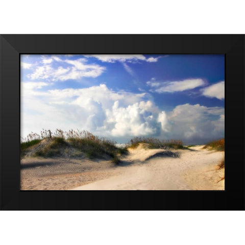 Summer Dunes I Black Modern Wood Framed Art Print by Hausenflock, Alan