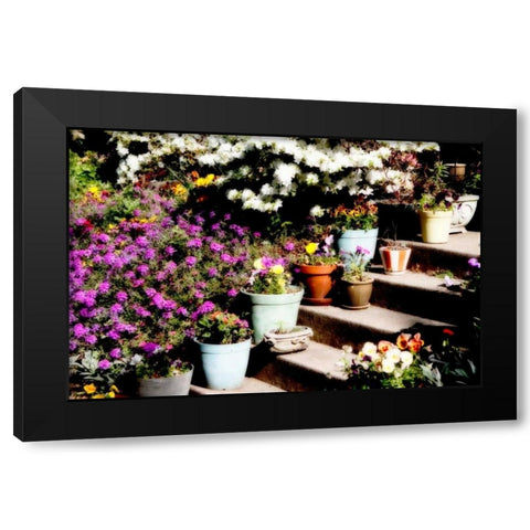 Sidewalk Spring II Black Modern Wood Framed Art Print with Double Matting by Hausenflock, Alan