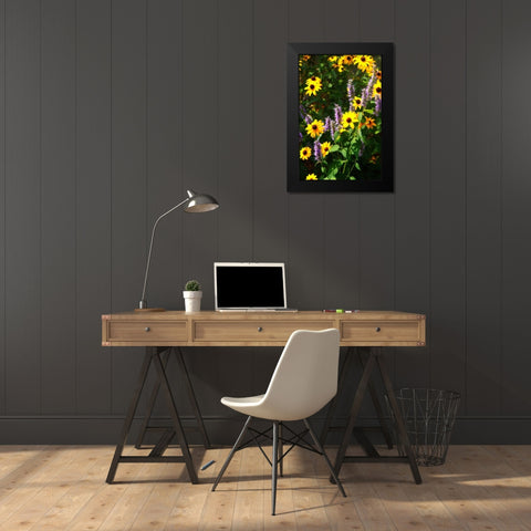 Summer Glory I Black Modern Wood Framed Art Print by Hausenflock, Alan