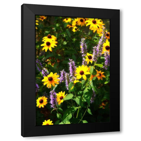 Summer Glory I Black Modern Wood Framed Art Print with Double Matting by Hausenflock, Alan