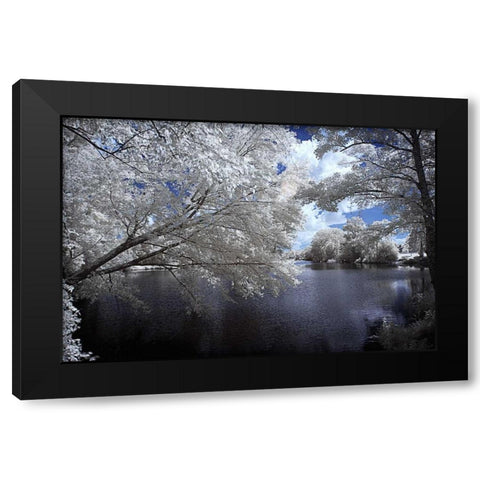Walkerton Millpond I Black Modern Wood Framed Art Print with Double Matting by Hausenflock, Alan