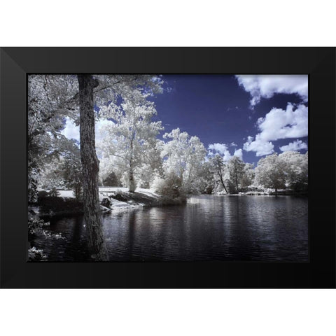 Walkerton Millpond II Black Modern Wood Framed Art Print by Hausenflock, Alan