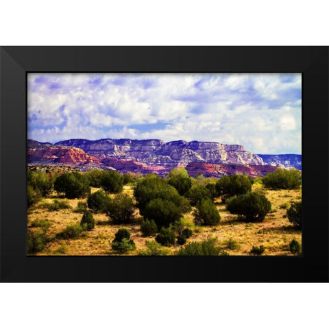 The High Desert I Black Modern Wood Framed Art Print by Hausenflock, Alan