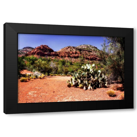 High Desert I Black Modern Wood Framed Art Print with Double Matting by Hausenflock, Alan