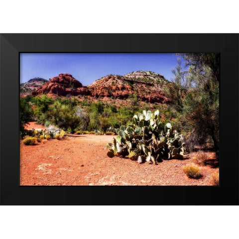High Desert I Black Modern Wood Framed Art Print by Hausenflock, Alan